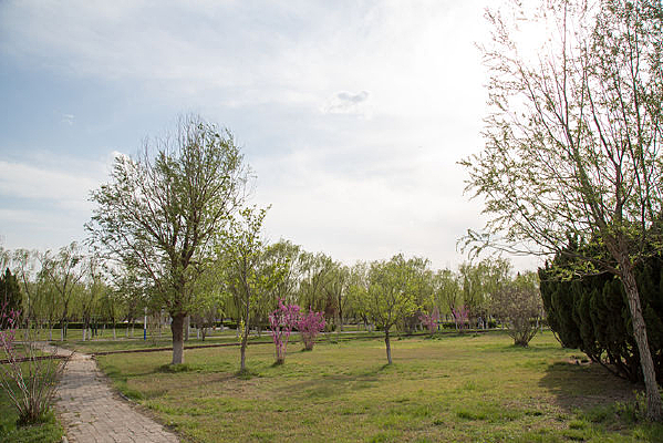 ����ݵ�С·