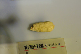 ��з����