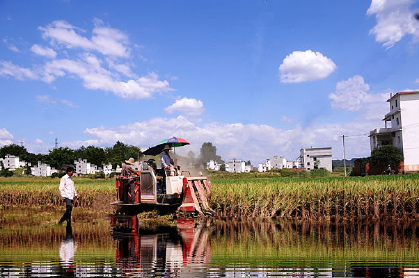 ����������Ч���