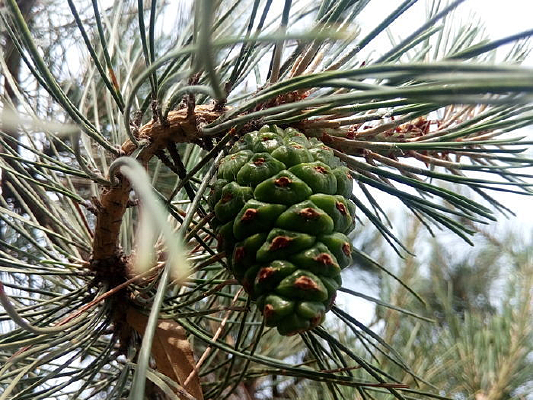 ��������