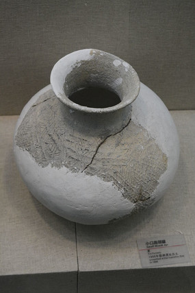 С�ڵĸ����