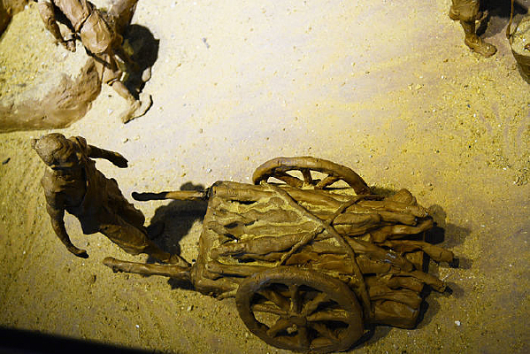 ��ľ�ĵ���