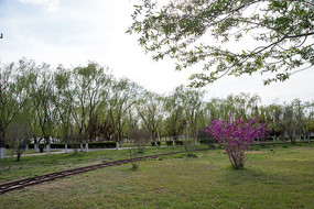 ��԰�е�С����