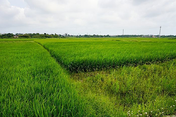 ˮ����Ұ���