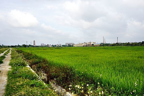 �����Ұ���