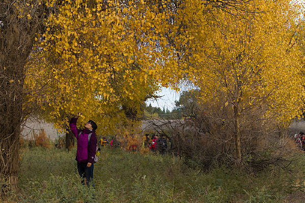 ��������µ���