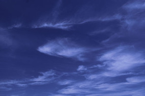 ���Ʊ�����