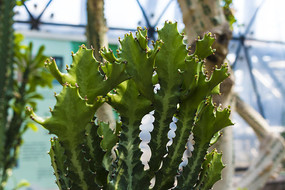 ������������