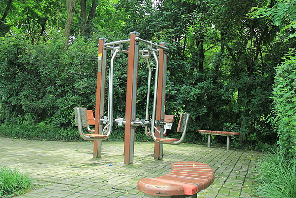 ����ѵ����