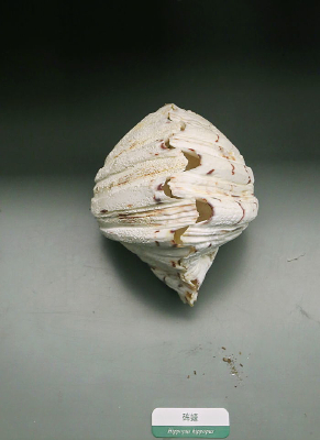 �������ﱴ����ϖ�ı걾