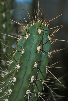 ������������