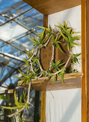 ����ֲ������