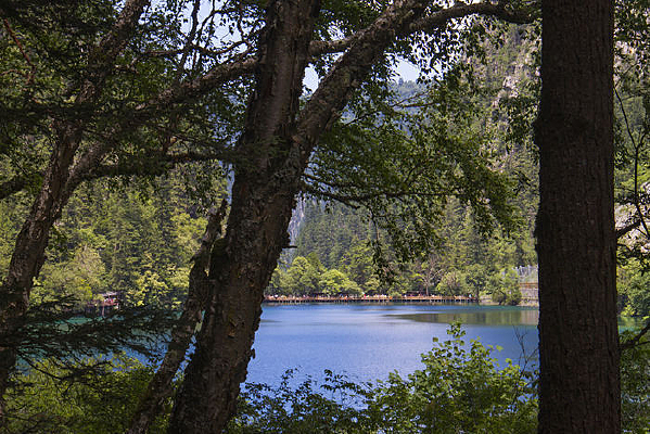 ����͸��