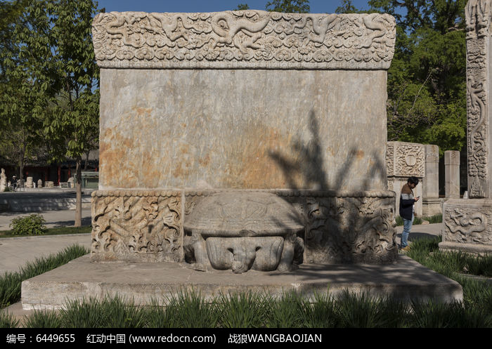 ��ʤ�����ޱ�ͼƬ