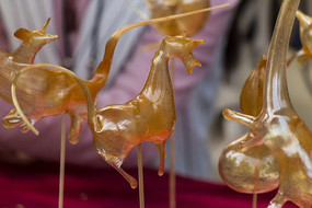 ���˶�������