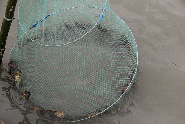 ������Ϻ