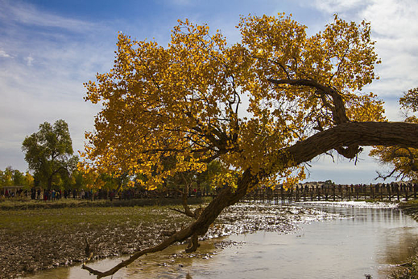 СϪ�ϵĺ���