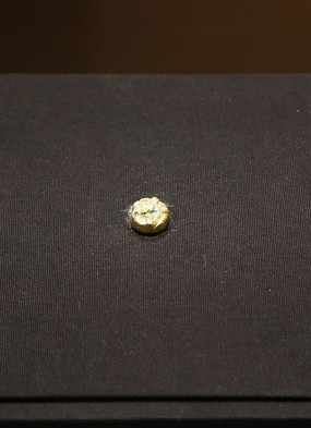 �������������չ��ͭ����