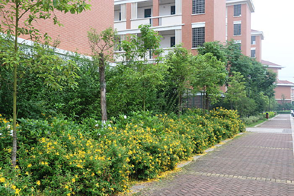 ѧУ���е����ϵĻ�