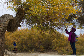 ���Ӻ����Ҷ