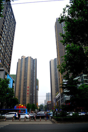 �����¥����