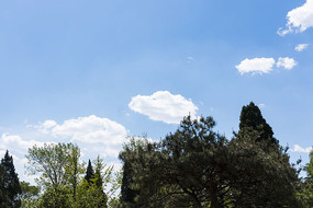 ֲ��԰������ɫ