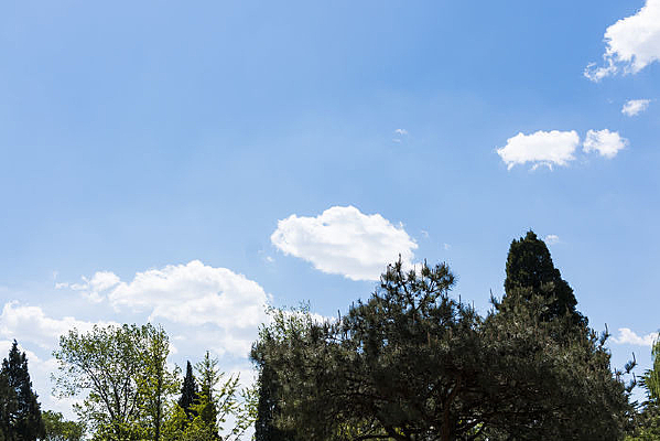 ������ɫ