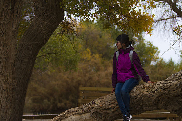 ���ڰ��������