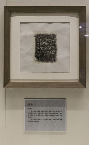 ������Ƭ