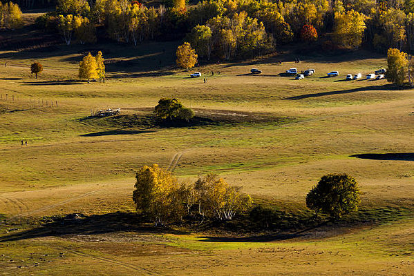 �߶����ֳ�