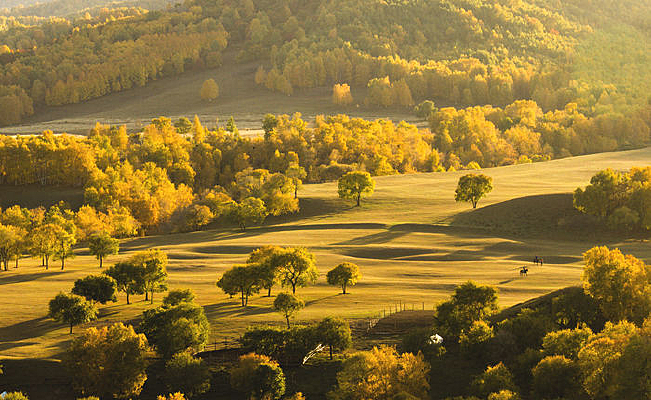 �߶��������е�������