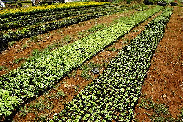 ���ܻ���