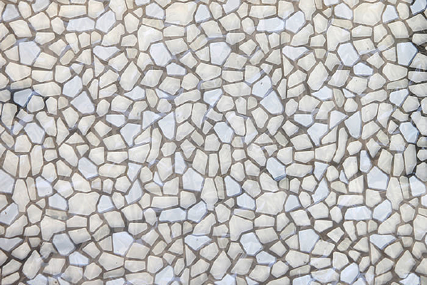 ���Ʊ���