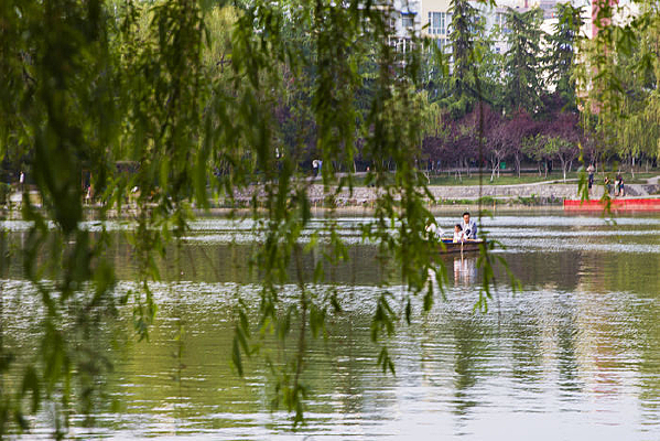 �����д�