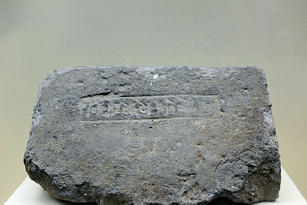 �������ֳ���ñש