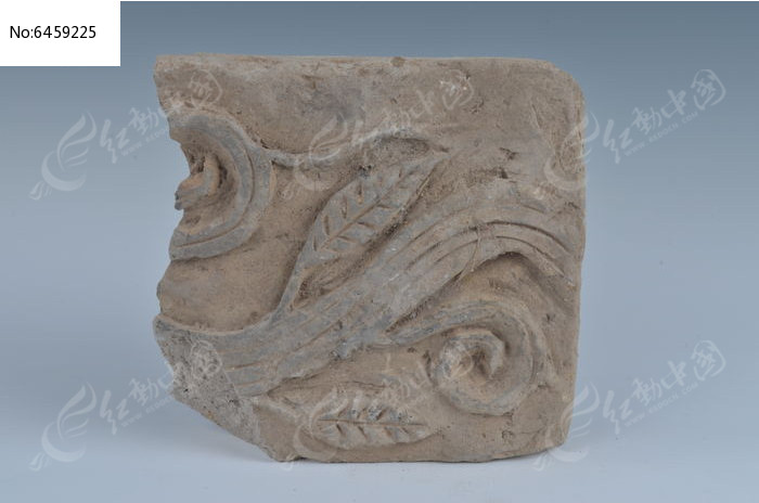 ����������ͼƬ