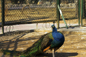 Ŀ��ǰ���Ŀ�ȸ