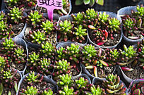 ��������ĺ�֮��