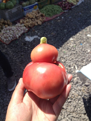 ����������