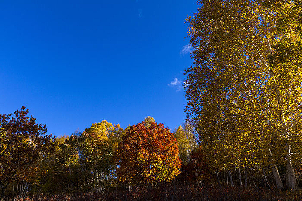 ���շ���