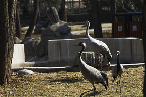 ��ֻվ���Ĳ���