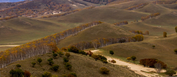 ɽ������İ�����