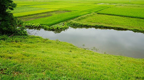 ��Ұ����