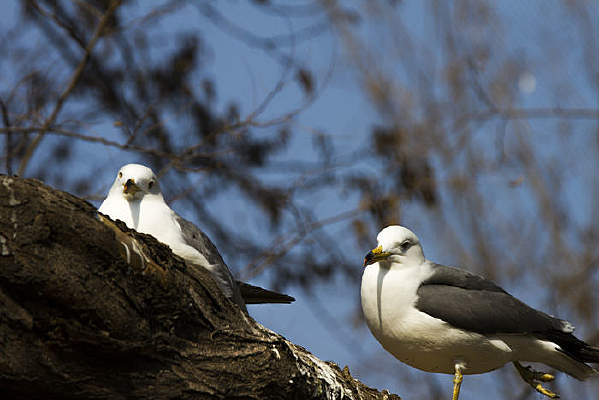 Ϊͬ��վ�ں�Ÿ