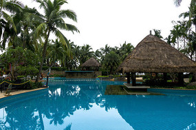 �������ŵĲ�ͤ