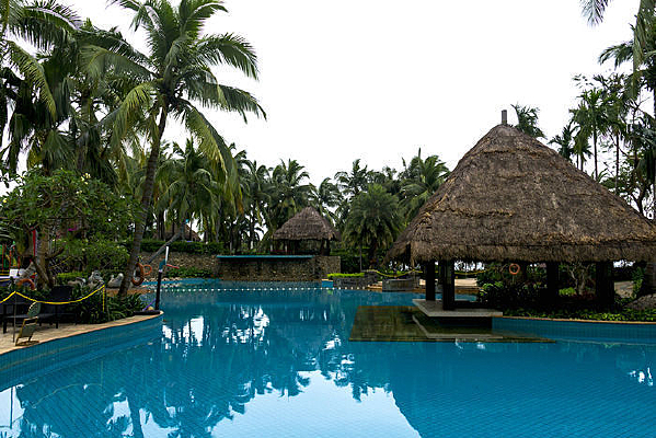 �������ŵĲ�ͤ