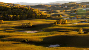 Ϧ��������