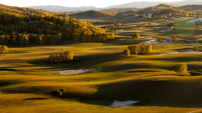 Ϧ��������