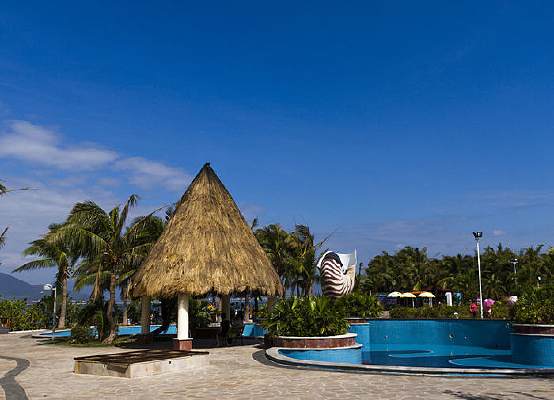 �����µĲ�ͤ