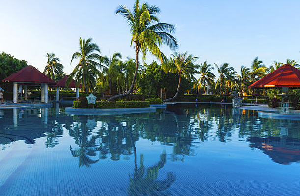 �����µ�Ҭ��